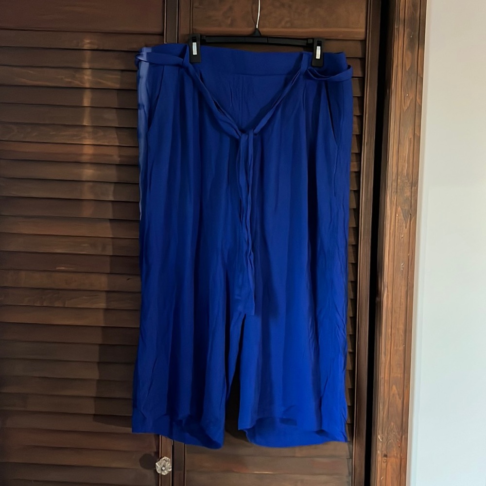 Blue Torrid Pants